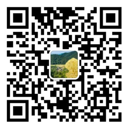 彩名堂手机计划